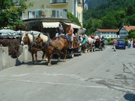11 Horse drawn carriages