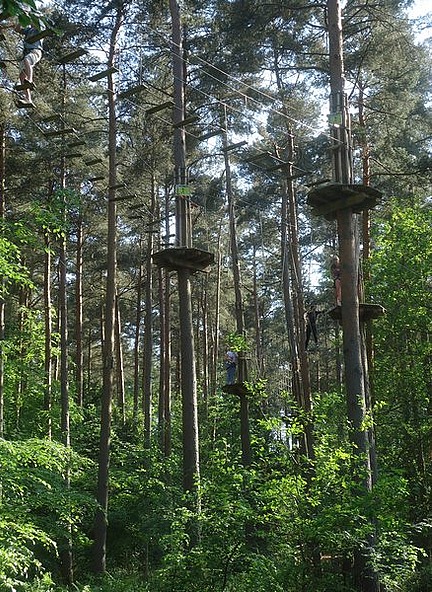 The Ropes course